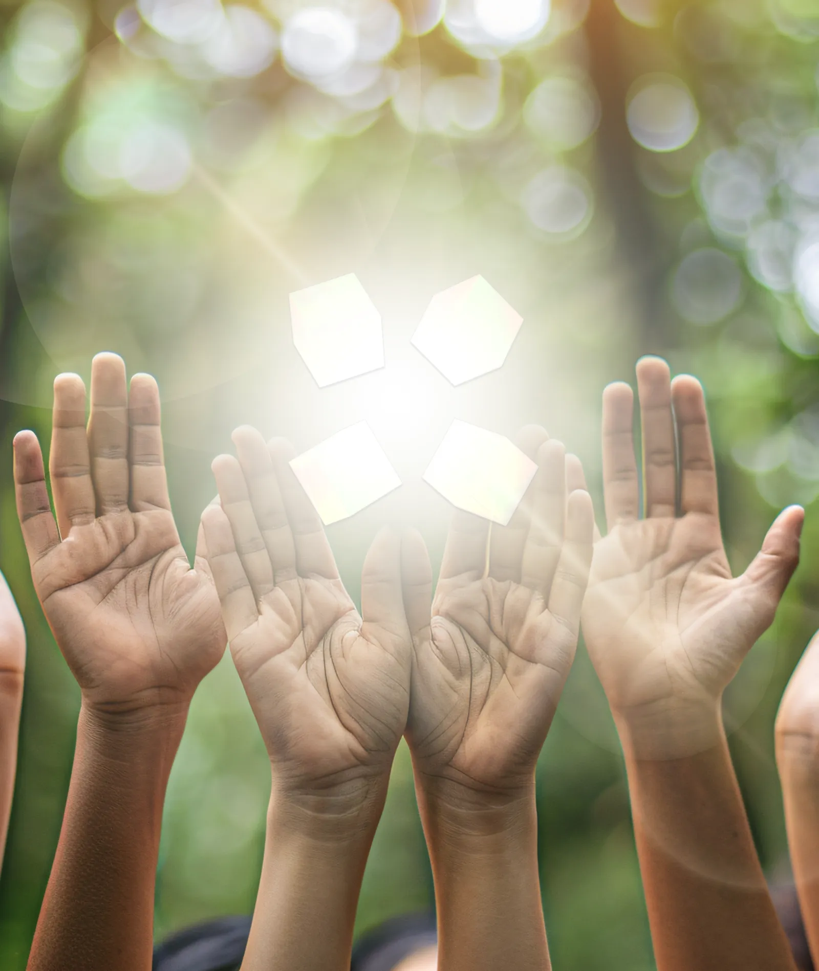 Discover peace inside with HOLO!