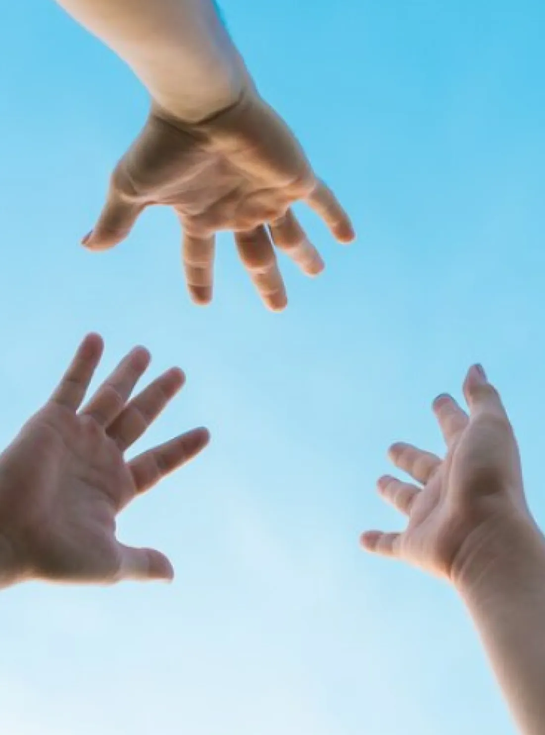 HOLO is your daily reset!